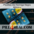 African Black Ant Pills cialis5